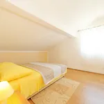 Borik Pedic Appartement Zadar